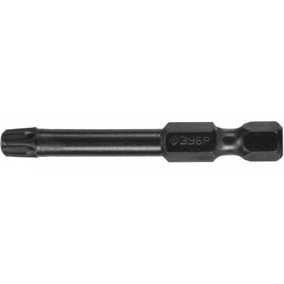 Биты ЗУБР T30, 50мм, 2шт 26025-30-50-S2