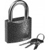 Навесной замок STAYER 60х50х25мм 37160-60 Навесной замок STAYER 60х50х25мм 37160-60