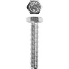 Болт ЗУБР M10x55мм, ГОСТ 7798-70, кл.пр.5.8, 5кг 303080-10-055
