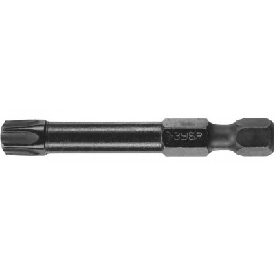 Биты ЗУБР T40, 50мм, 2шт 26025-40-50-S2
