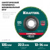 Полимерно-шлифовальный абразивный круг KRAFTOOL 125x22.2мм 36599-125