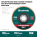 Круг лепестковый торцевой KRAFTOOL 125x22.2мм, P60 36598-125-60